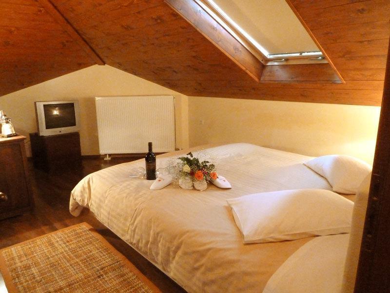 Mysaion Hotel Synikia Mesi Trikalon Room photo
