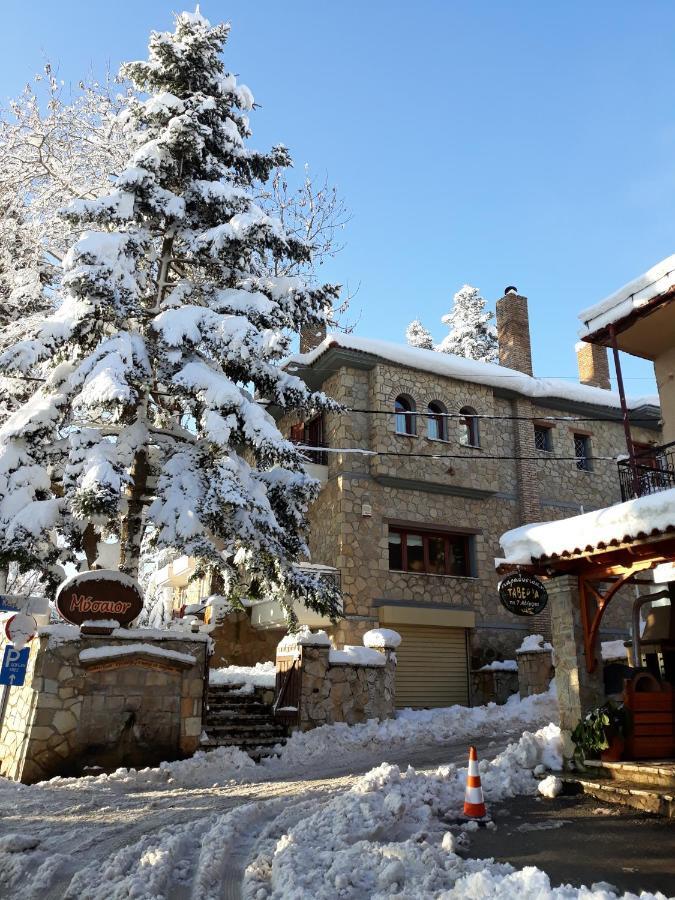 Mysaion Hotel Synikia Mesi Trikalon Exterior photo
